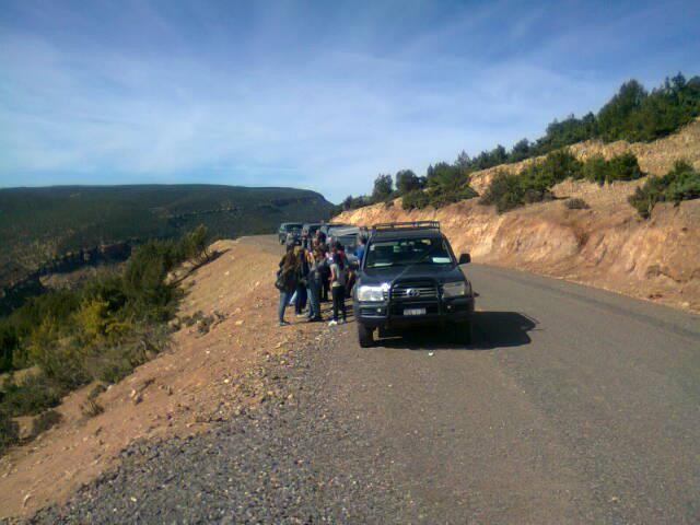 TRANSPORT